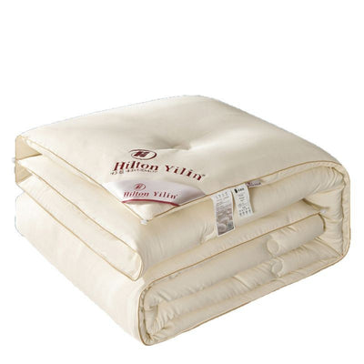 HEARTCOSY Pure Mulberry Silk Duvet Insert