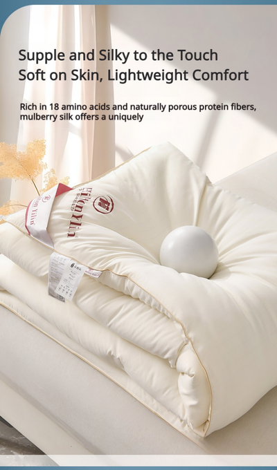HEARTCOSY Pure Mulberry Silk Duvet Insert