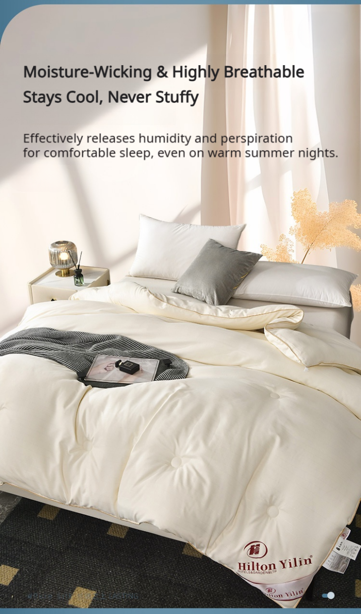 HEARTCOSY Pure Mulberry Silk Duvet Insert