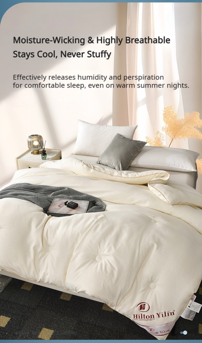 HEARTCOSY Pure Mulberry Silk Duvet Insert