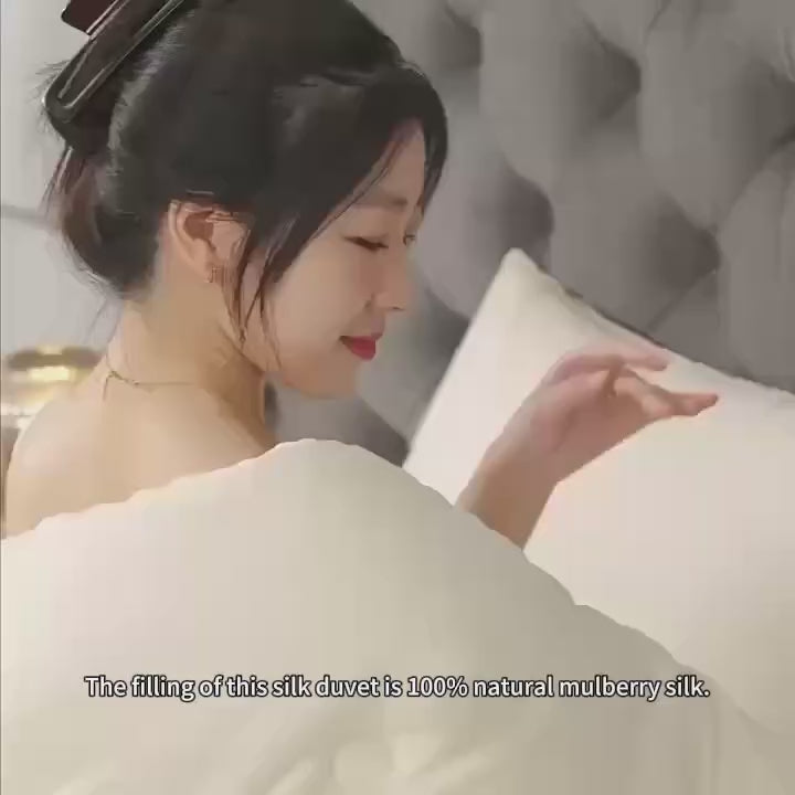 HEARTCOSY Pure Mulberry Silk Duvet Insert